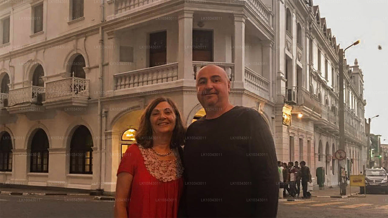 Wonder Island (3 días)