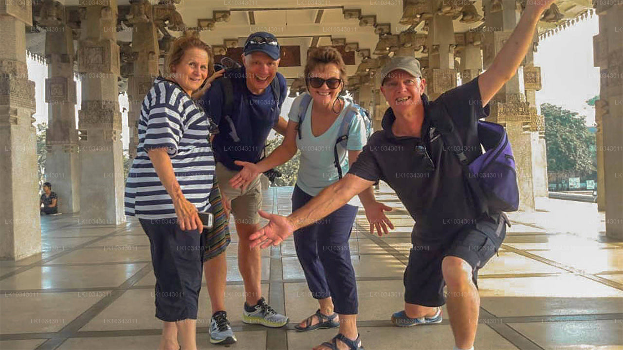 Wonder Island (3 días)