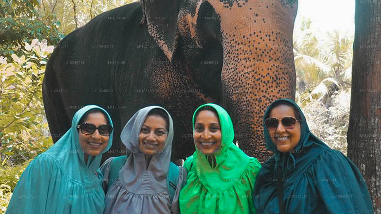 Último reino de Sri Lanka desde Colombo (3 días)