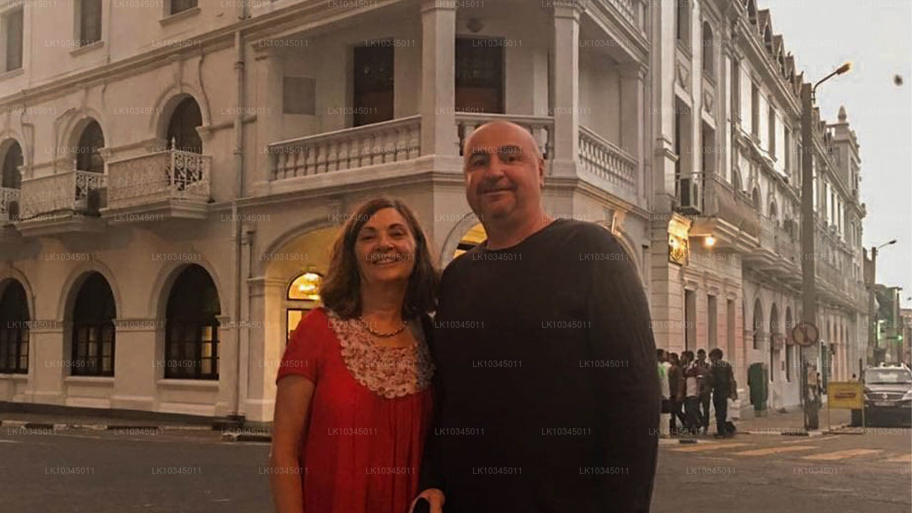 Último reino de Sri Lanka desde Colombo (3 días)