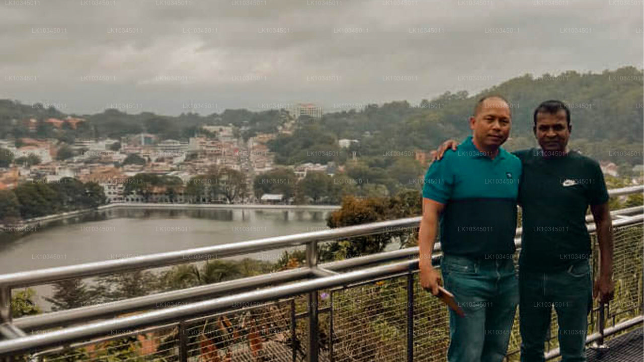 Último reino de Sri Lanka desde Colombo (3 días)