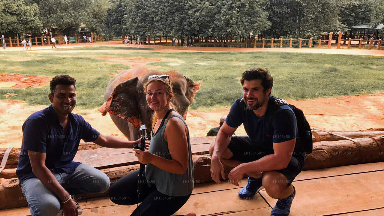 Último reino de Sri Lanka desde Colombo (3 días)