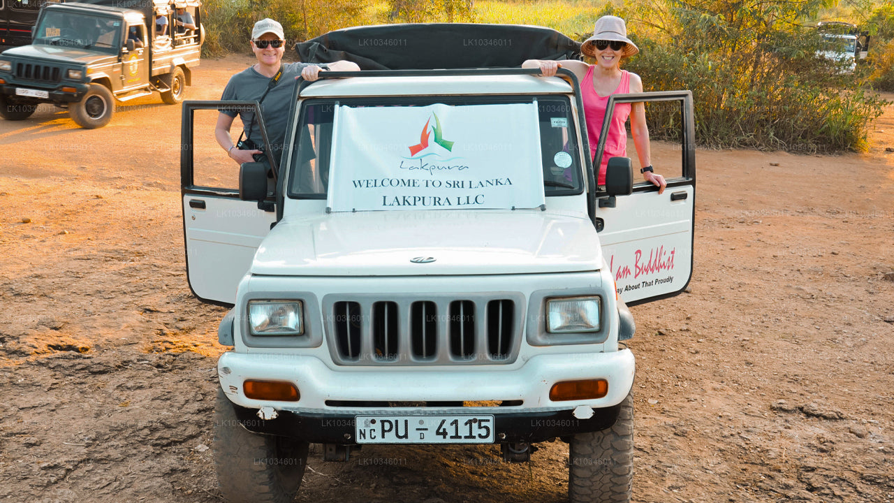 Cuentos de la antigua Ceilán desde Colombo (3 días)