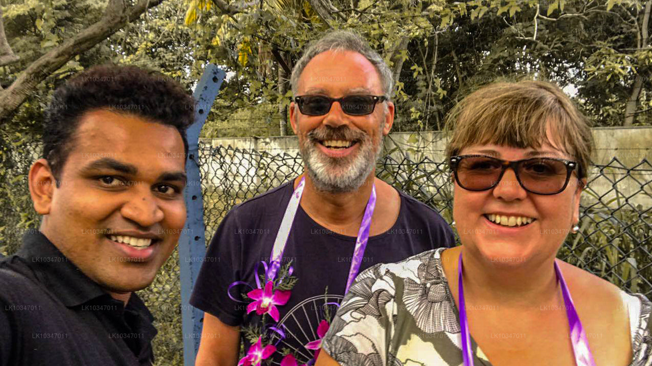 Ciudad sagrada de Anuradhapura desde Colombo (3 días)