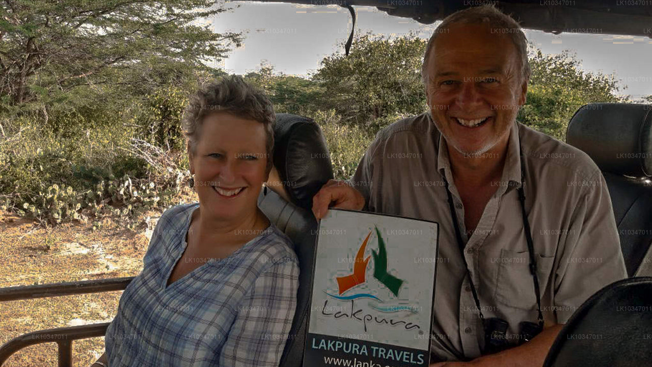 Ciudad sagrada de Anuradhapura desde Colombo (3 días)