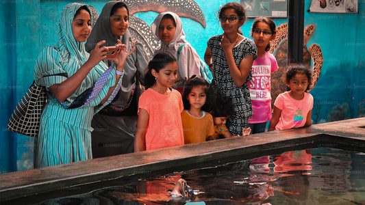 Acogedora Sri Lanka (3 días)