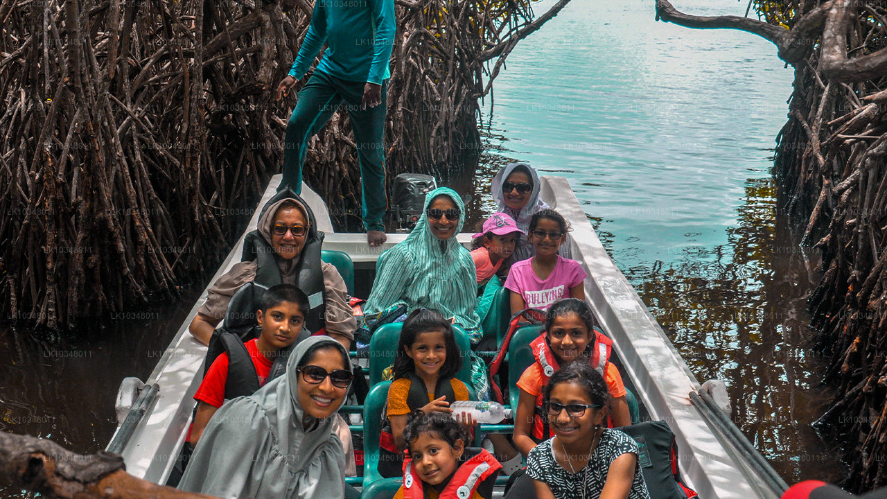 Acogedora Sri Lanka (3 días)