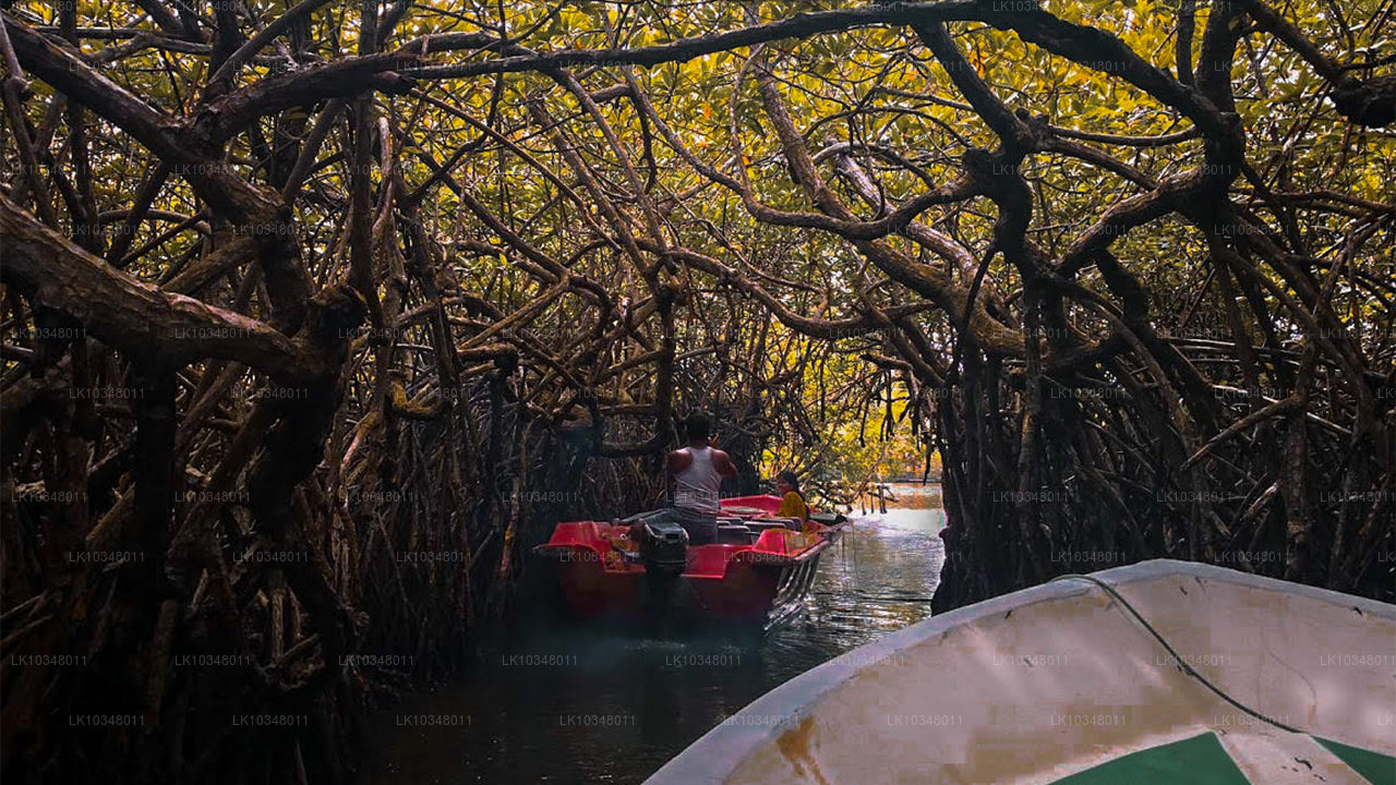 Acogedora Sri Lanka (3 días)