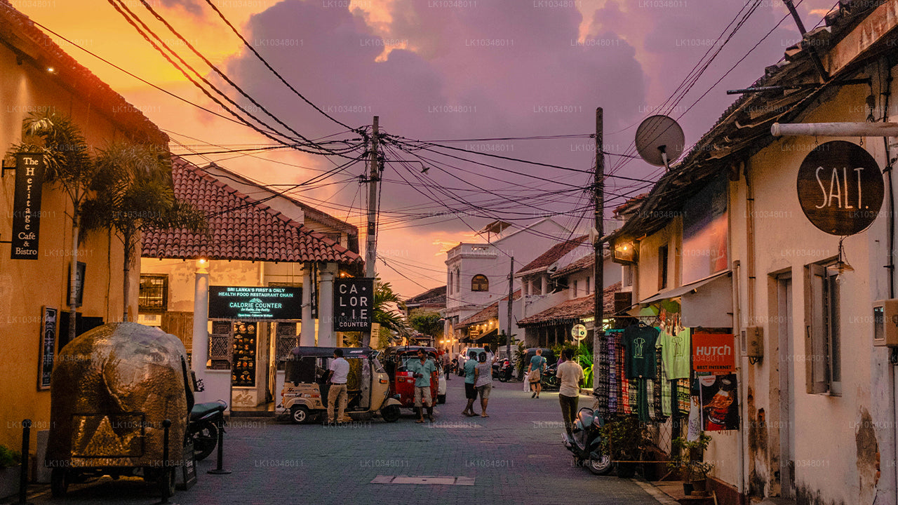 Acogedora Sri Lanka (3 días)