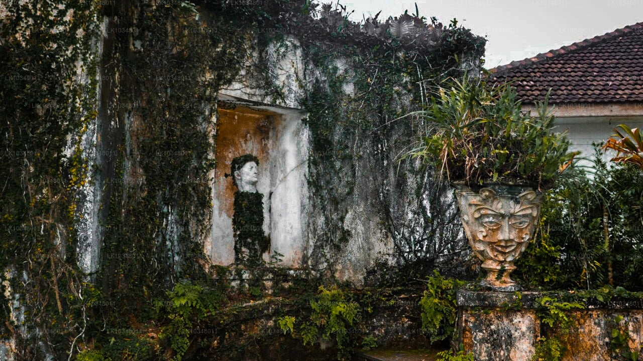 Acogedora Sri Lanka (3 días)