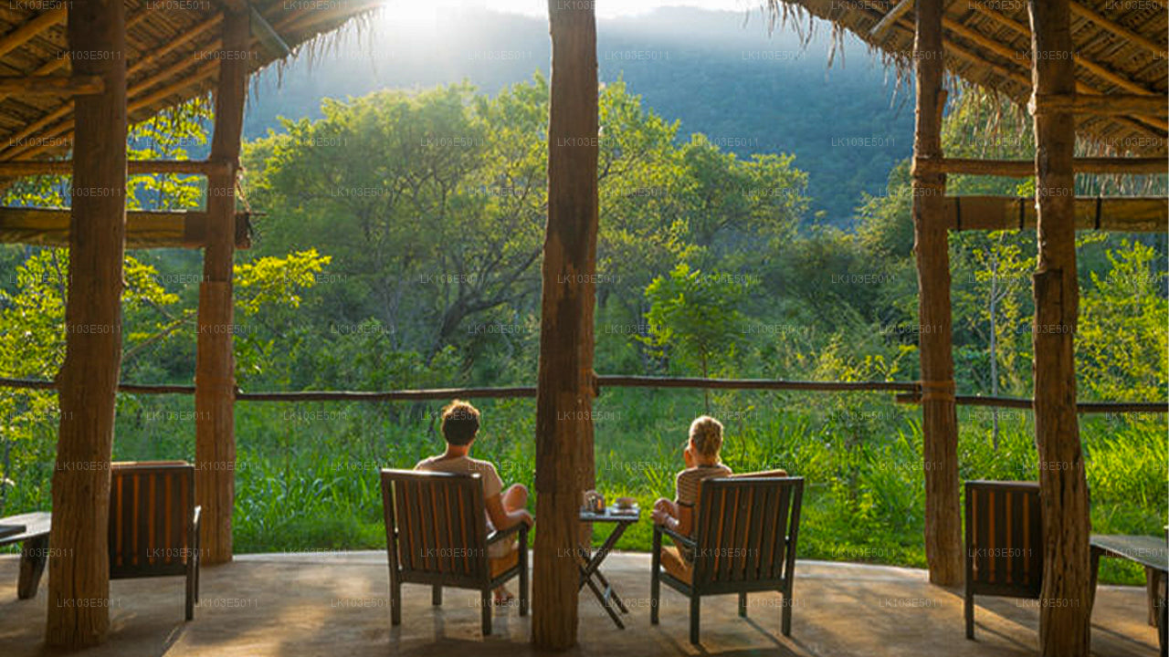 Excursiones ecológicas por Sri Lanka (3 días)