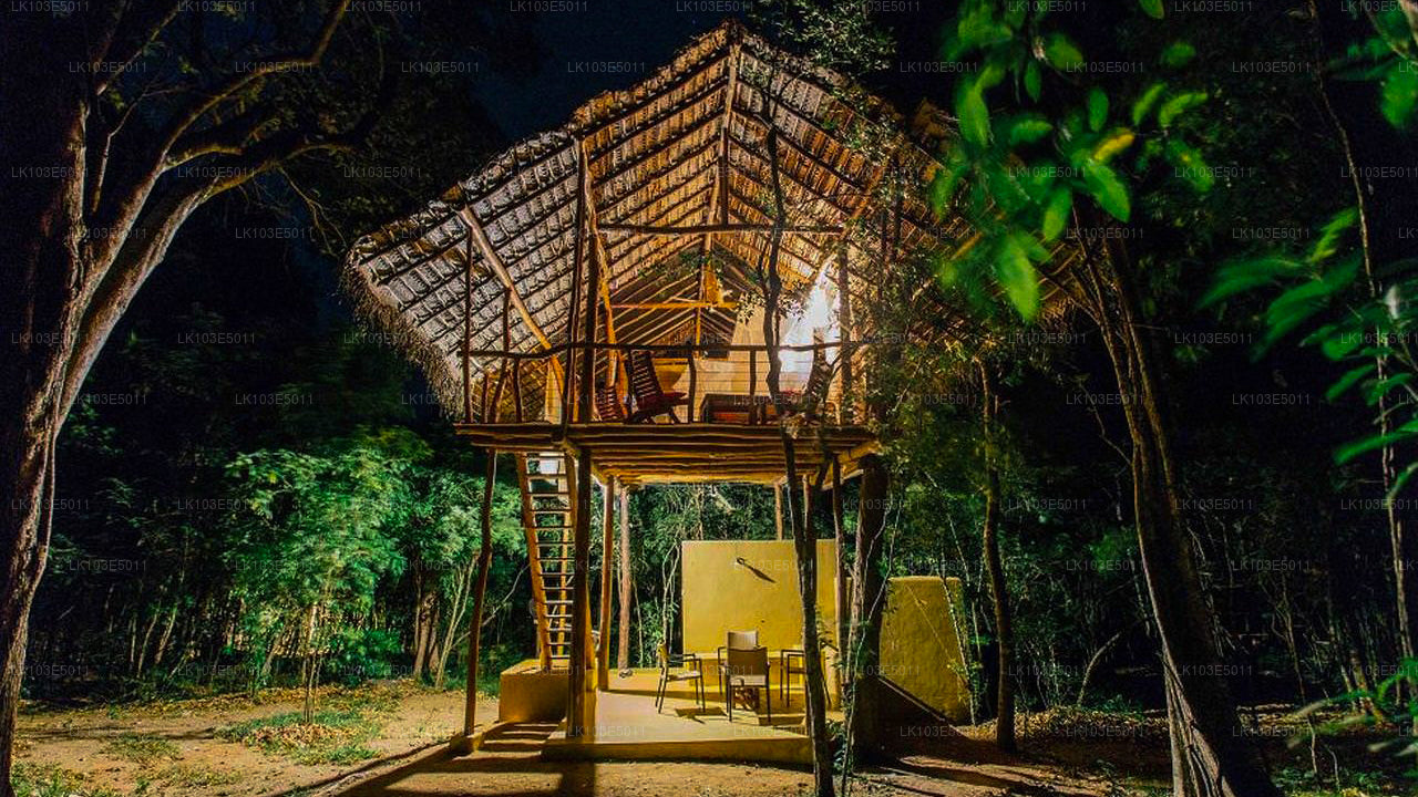 Excursiones ecológicas por Sri Lanka (3 días)