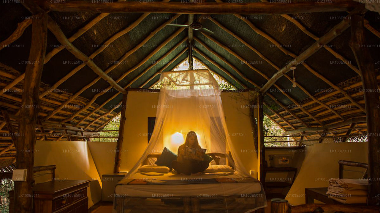 Excursiones ecológicas por Sri Lanka (3 días)