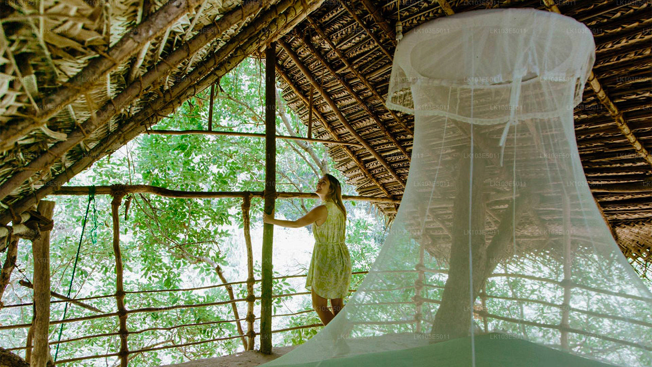 Excursiones ecológicas por Sri Lanka (3 días)