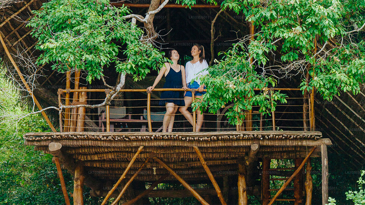 Excursiones ecológicas por Sri Lanka (3 días)