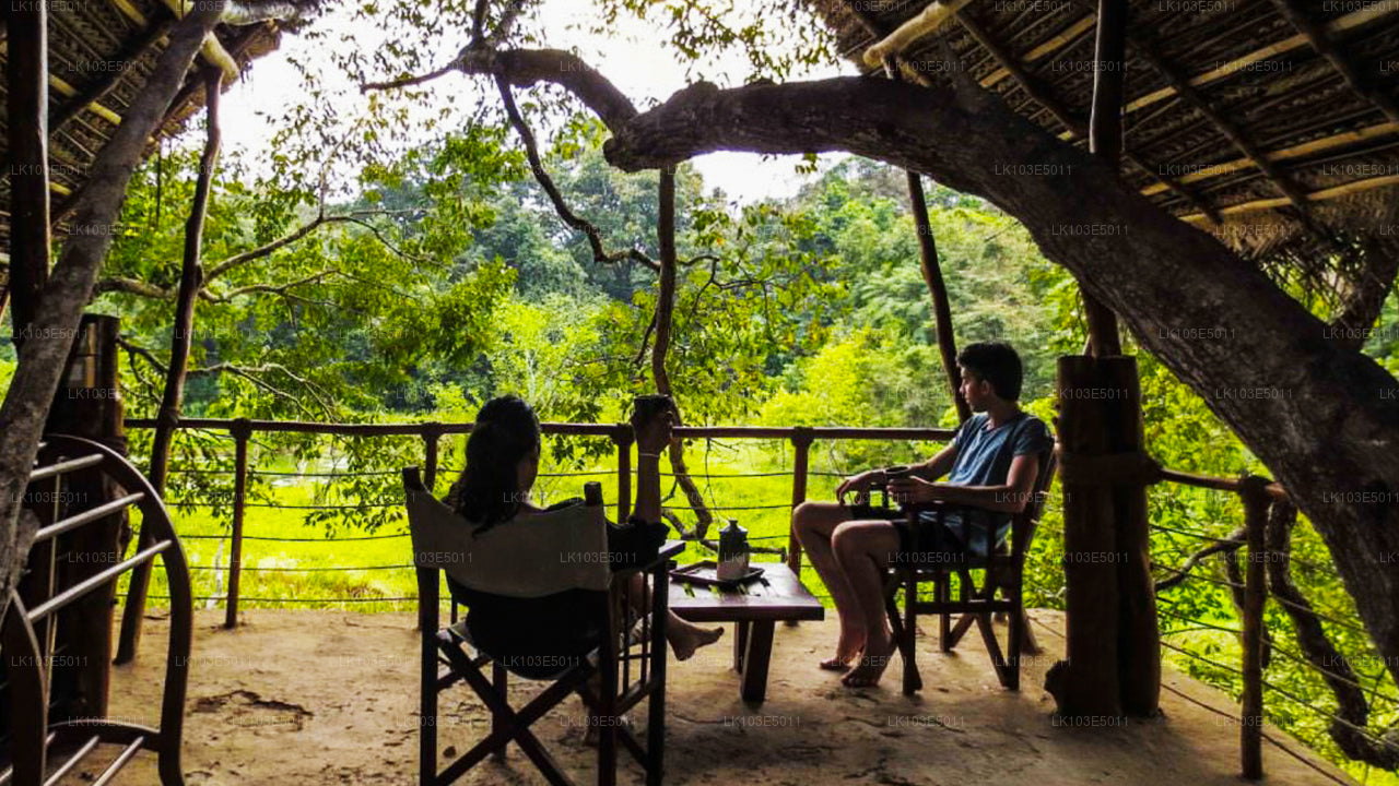 Excursiones ecológicas por Sri Lanka (3 días)