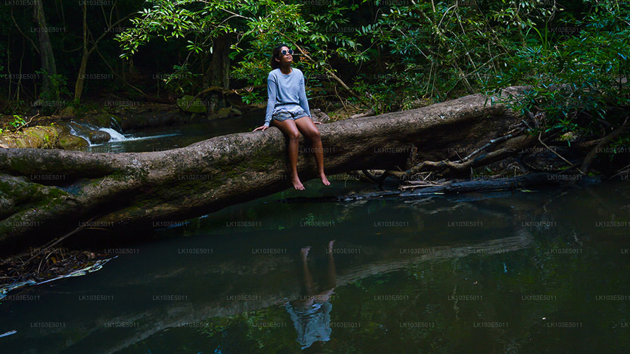 Excursiones ecológicas por Sri Lanka (3 días)