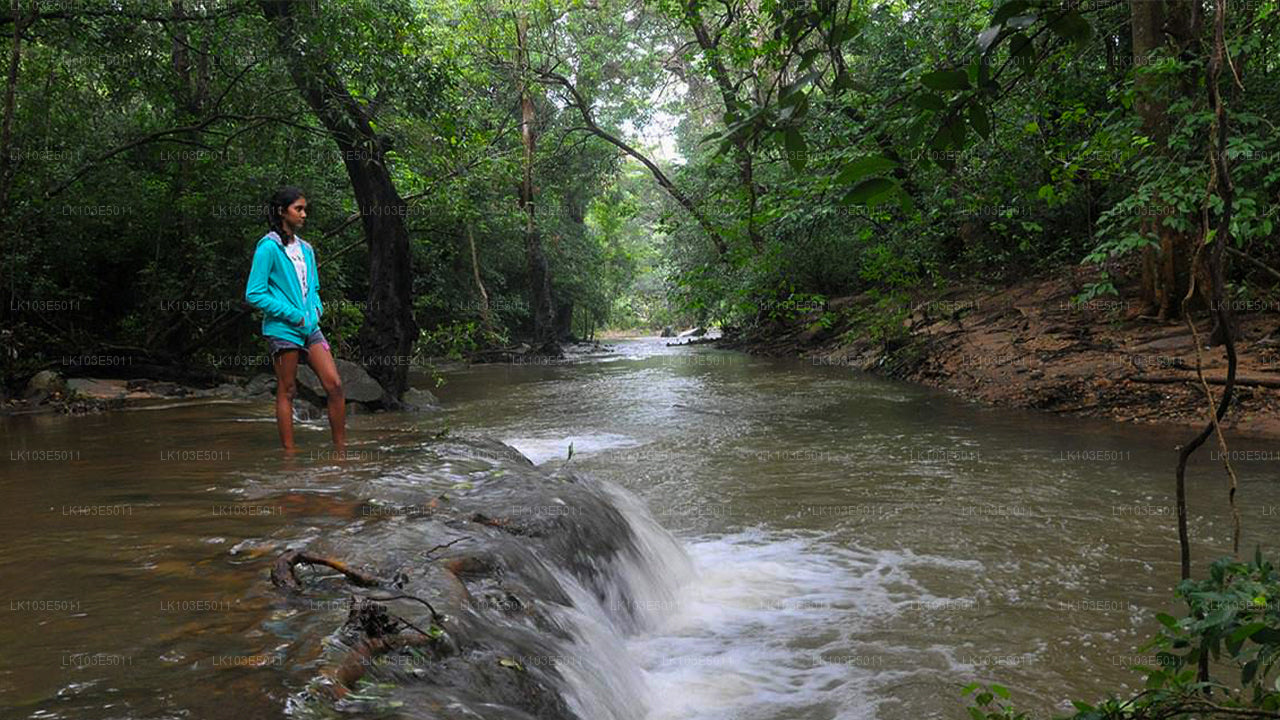Excursiones ecológicas por Sri Lanka (3 días)
