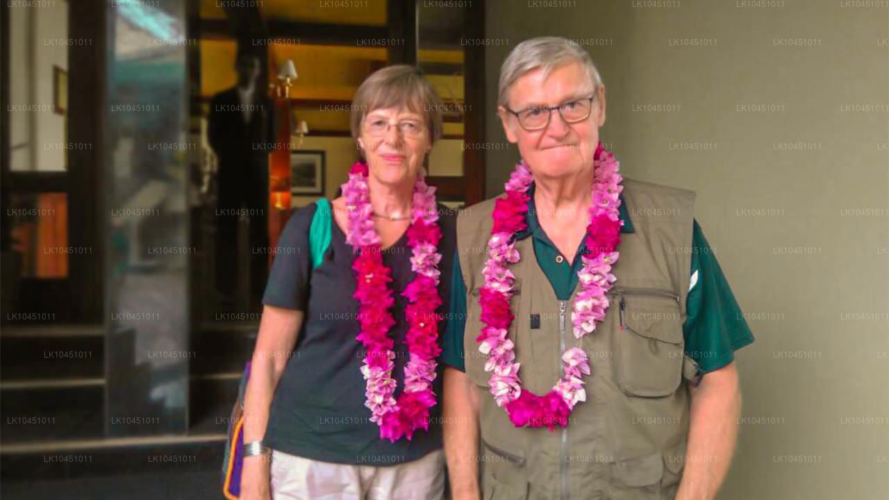 Alrededor de Lanka desde Colombo (4 días)