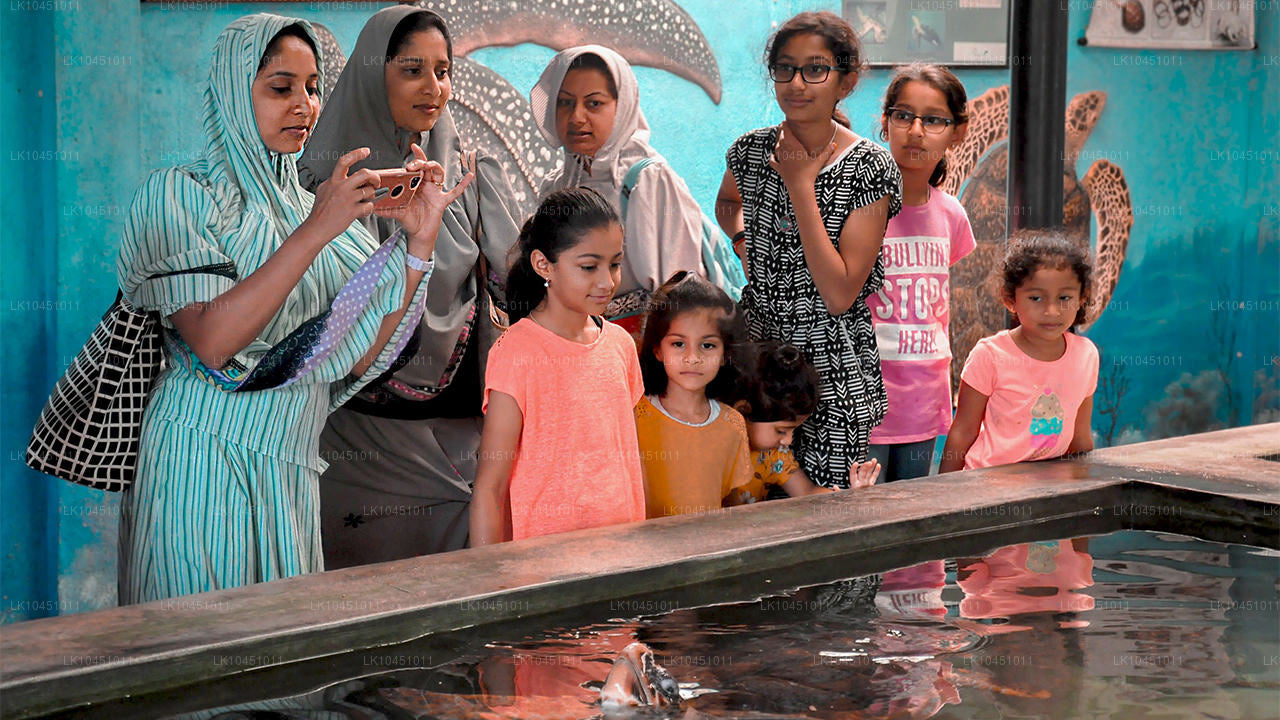 Alrededor de Lanka desde Colombo (4 días)