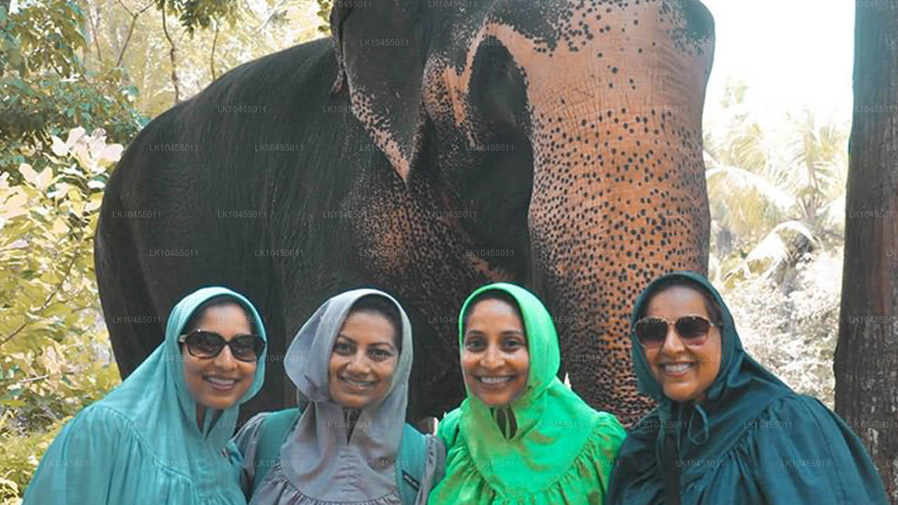 Excursión a los aborígenes de Sri Lanka (4 días)