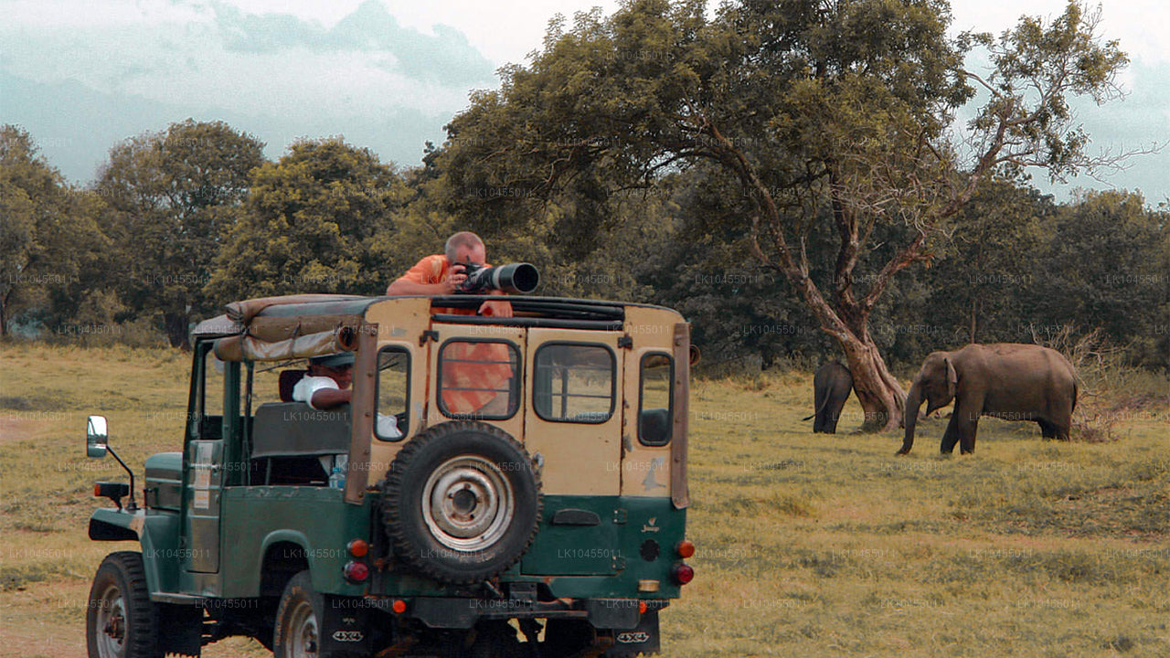 Excursión a los aborígenes de Sri Lanka (4 días)