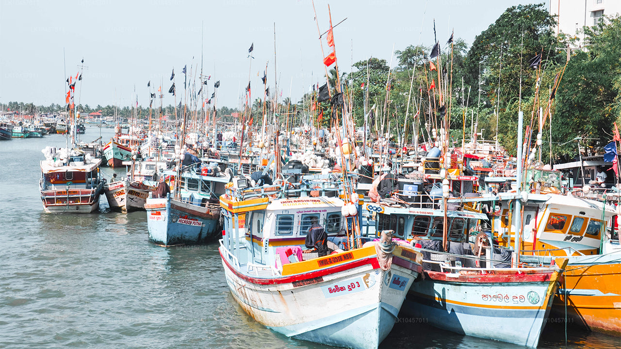 Playa y ciudad (4 días)