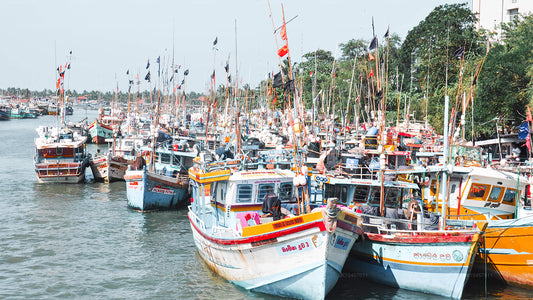 Playa y ciudad (4 días)