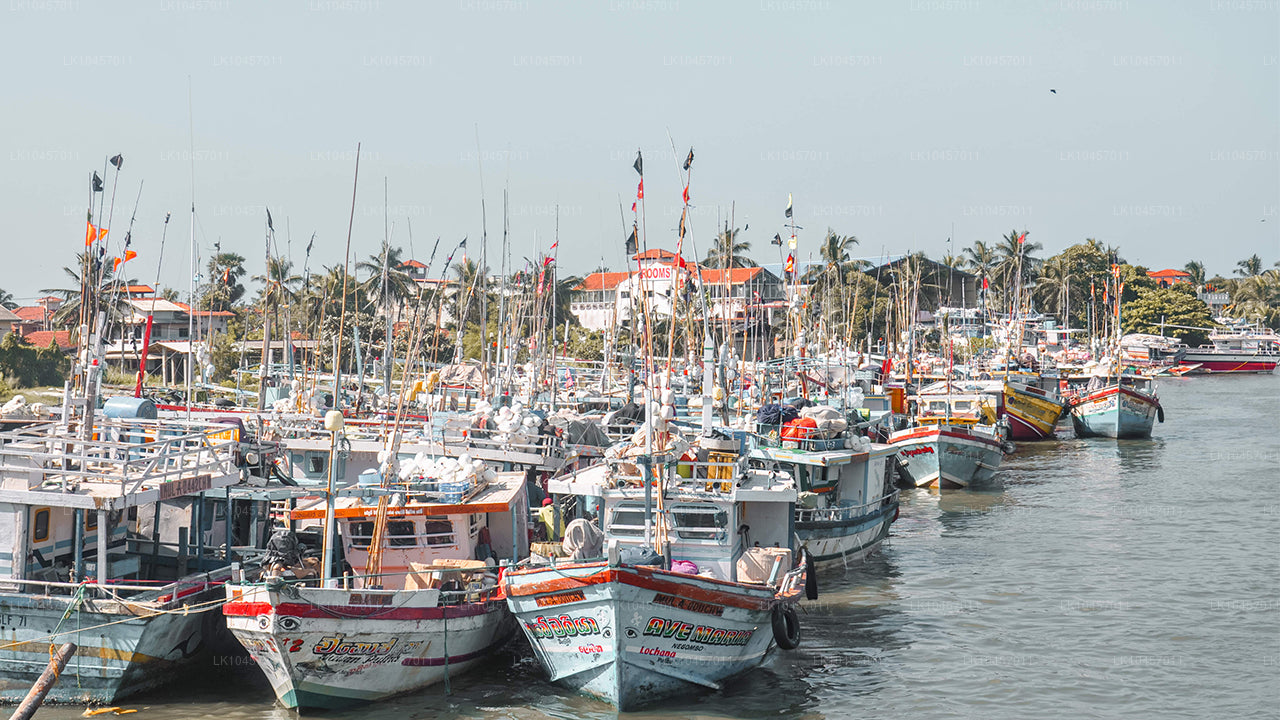 Playa y ciudad (4 días)