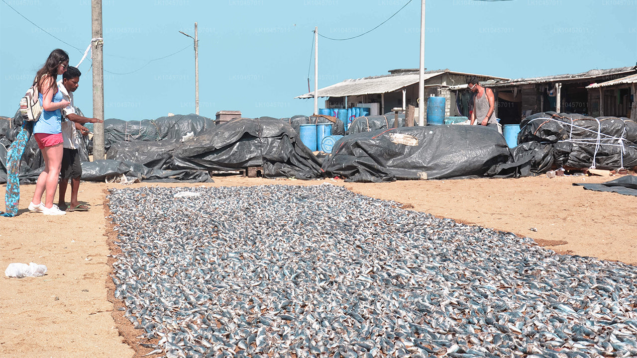 Playa y ciudad (4 días)