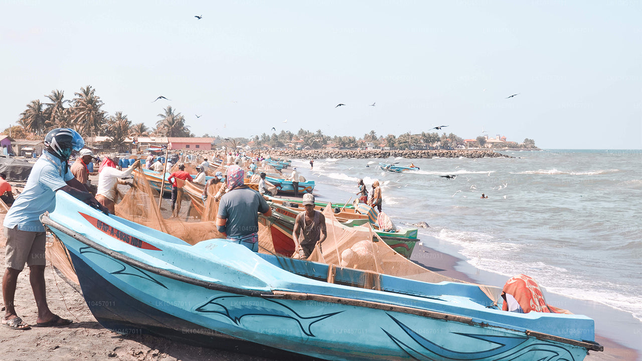Playa y ciudad (4 días)