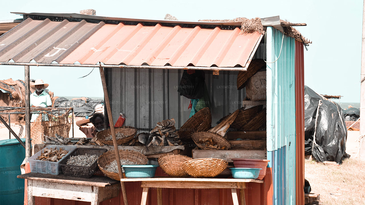 Playa y ciudad (4 días)