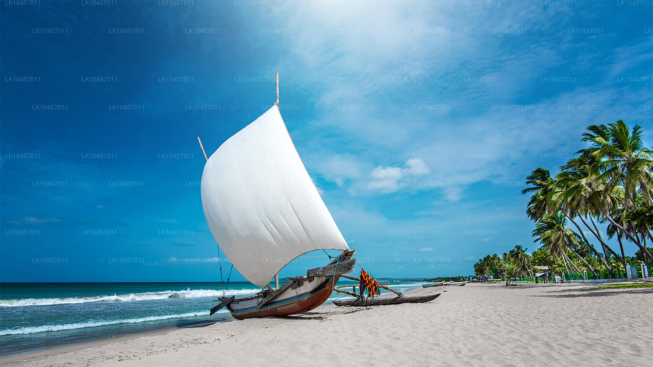 Playa y ciudad (4 días)