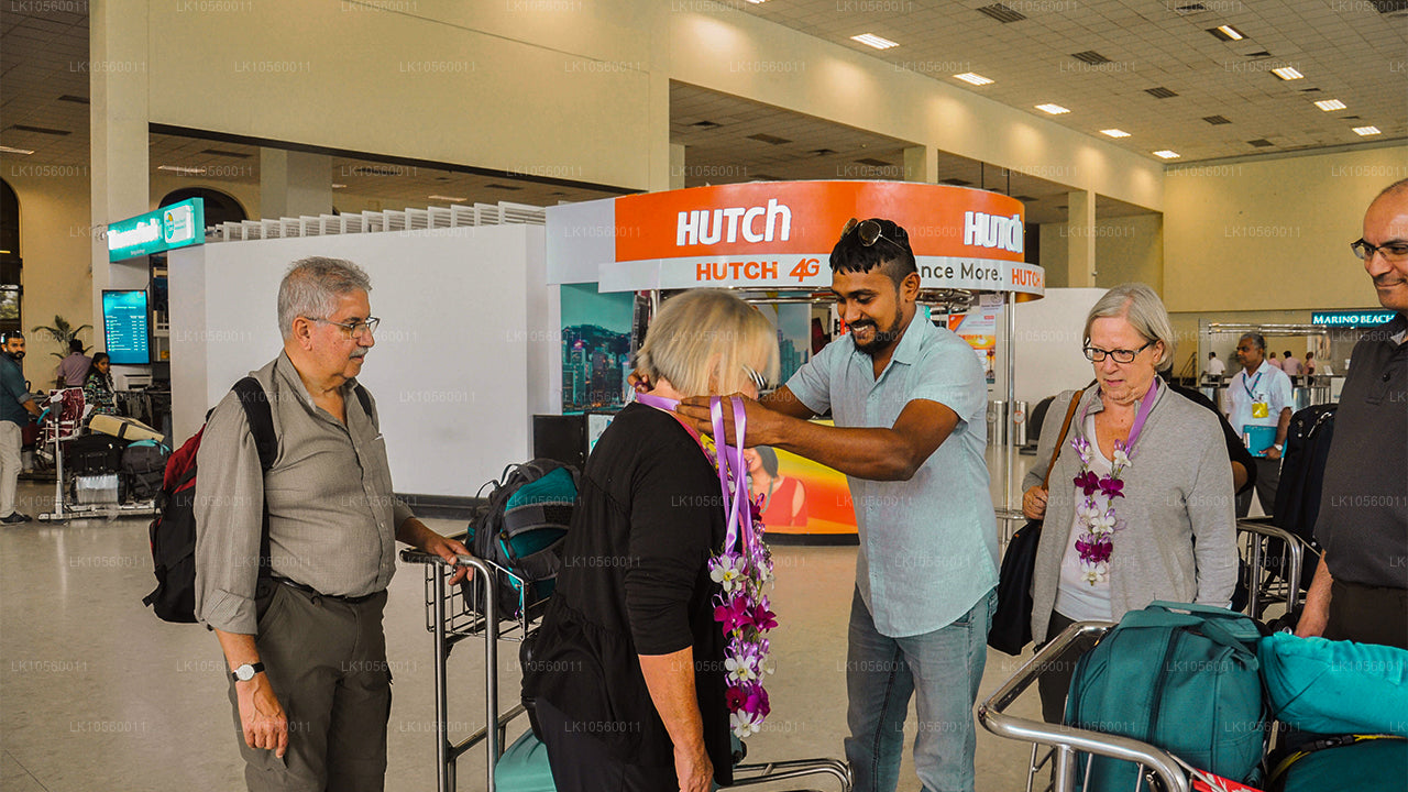 Cinturón costero del Sur (5 días)