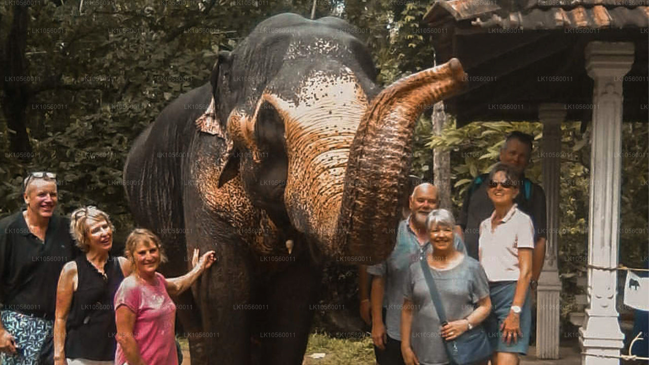 Cinturón costero del Sur (5 días)