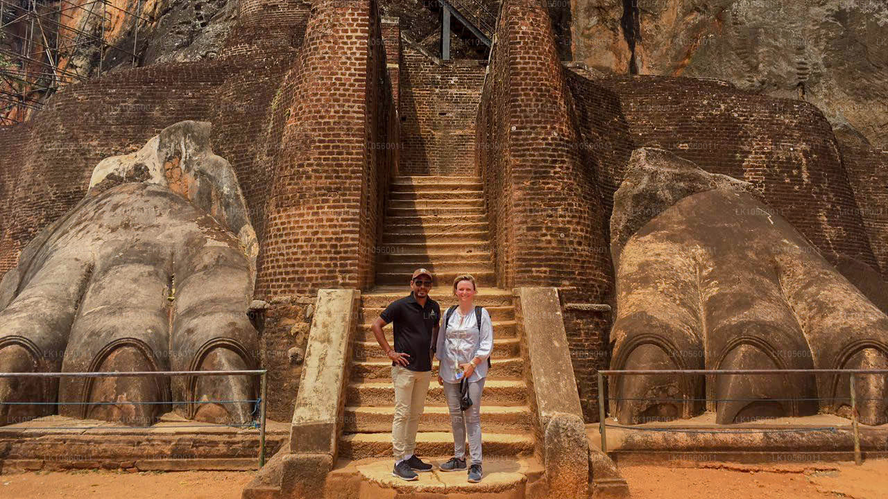 Cinturón costero del Sur (5 días)