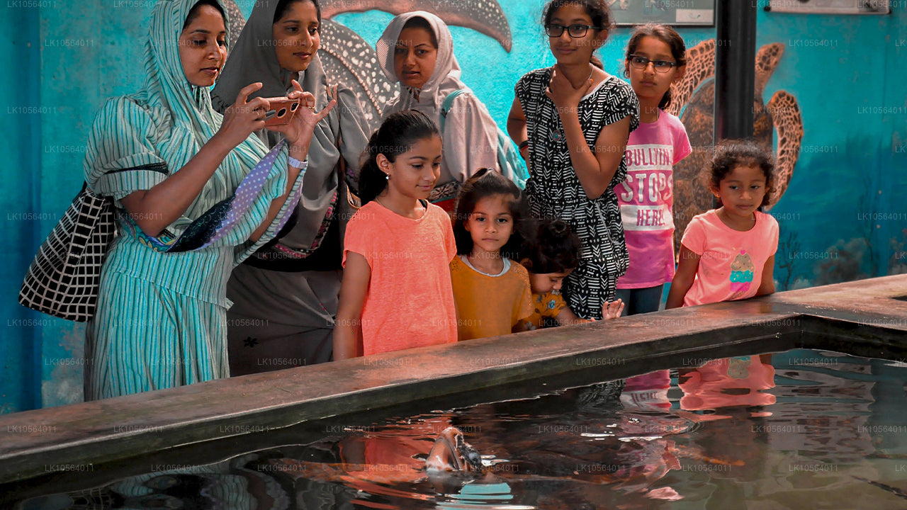 Lugares de interés de Sri Lanka (5 días)