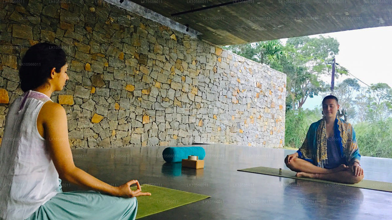 Tour de meditación y yoga (5 días)