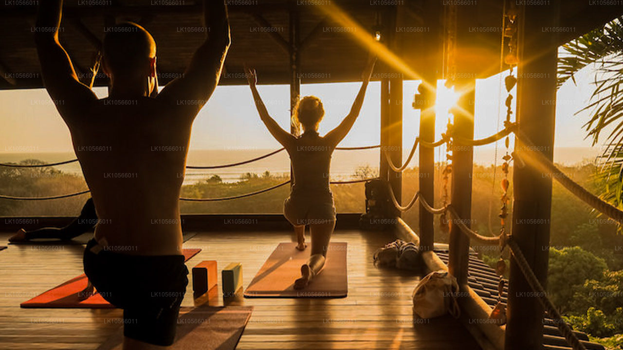 Tour de meditación y yoga (5 días)