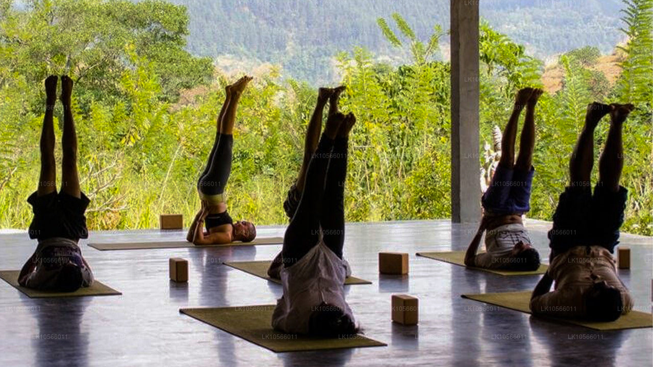 Tour de meditación y yoga (5 días)