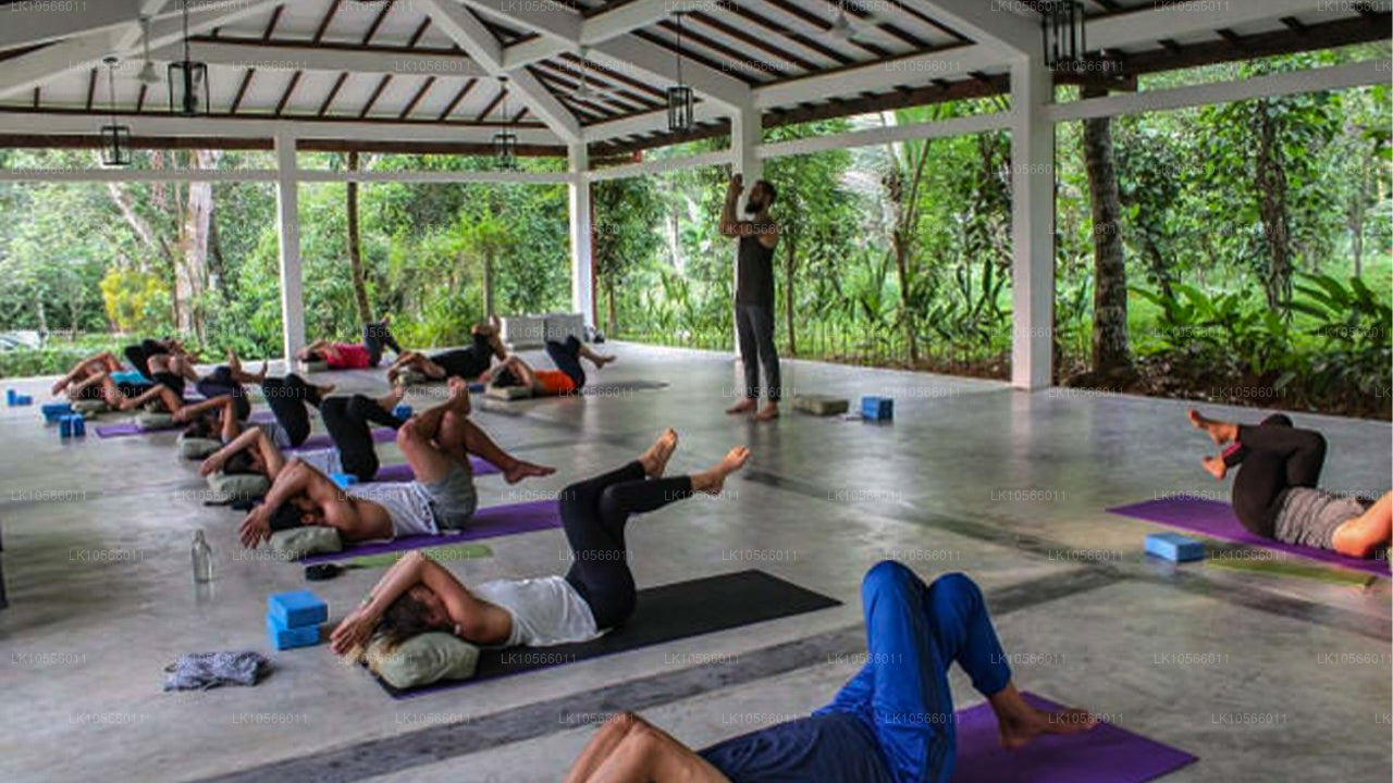 Tour de meditación y yoga (5 días)
