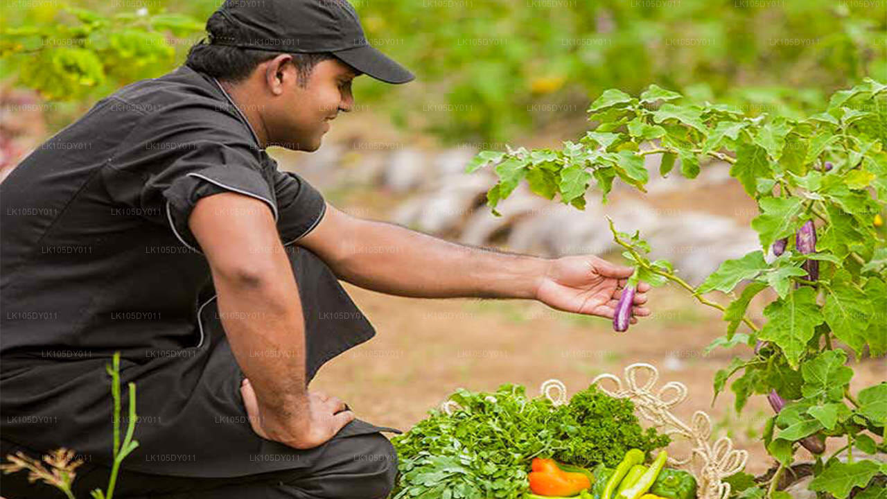 Agro Tour por Sri Lanka (5 días)
