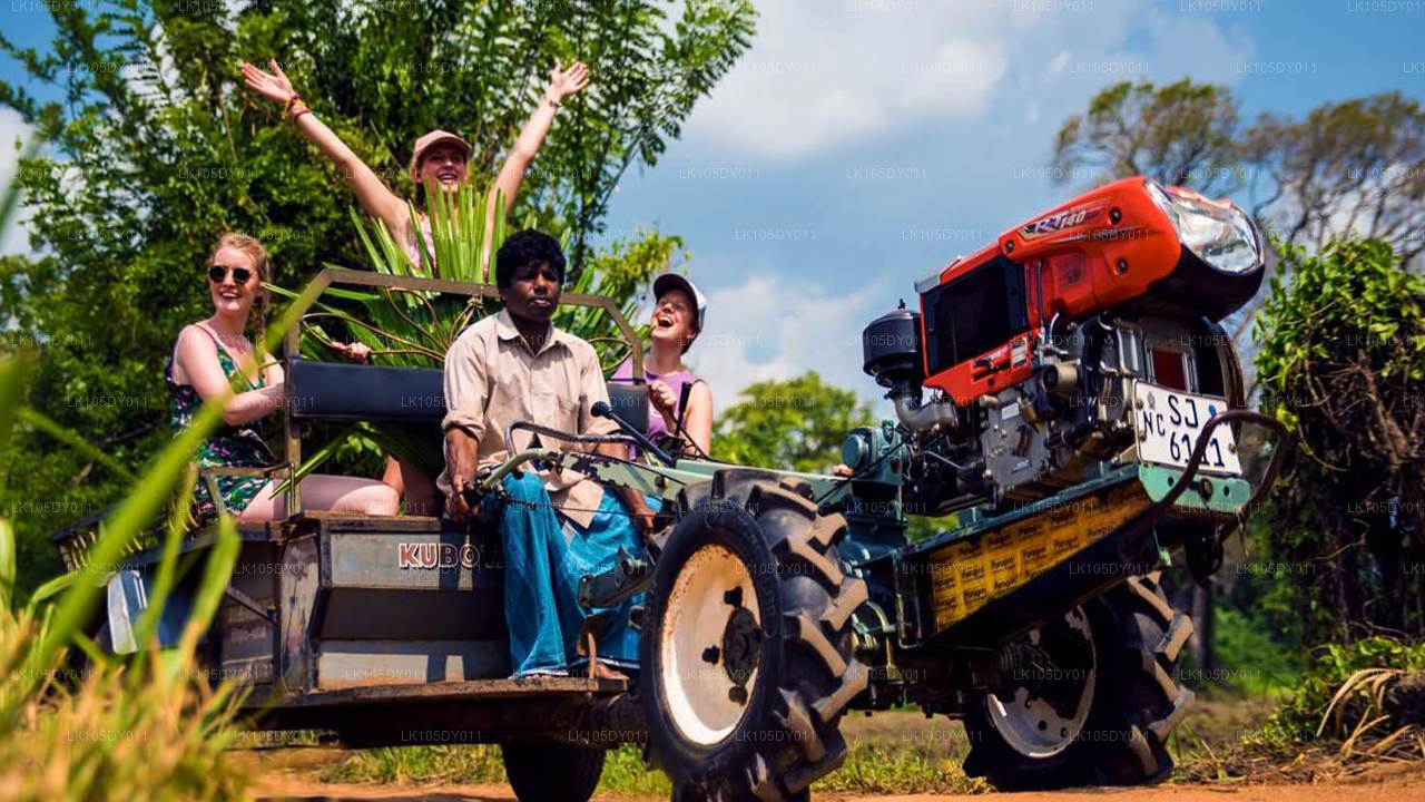 Agro Tour por Sri Lanka (6 días)