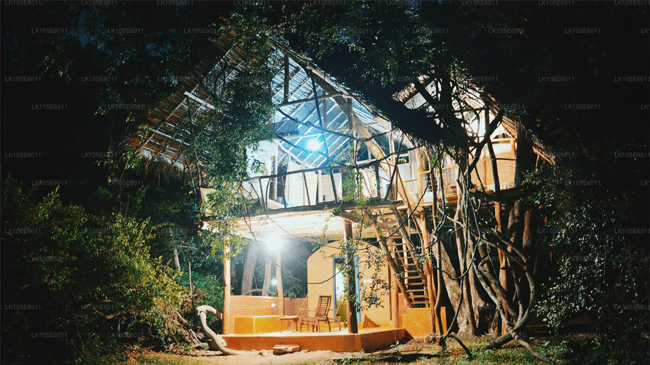 Excursiones ecológicas por Sri Lanka (6 días)