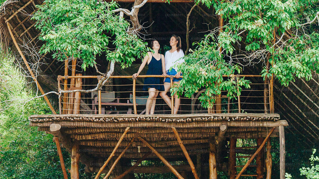 Excursiones ecológicas por Sri Lanka (6 días)