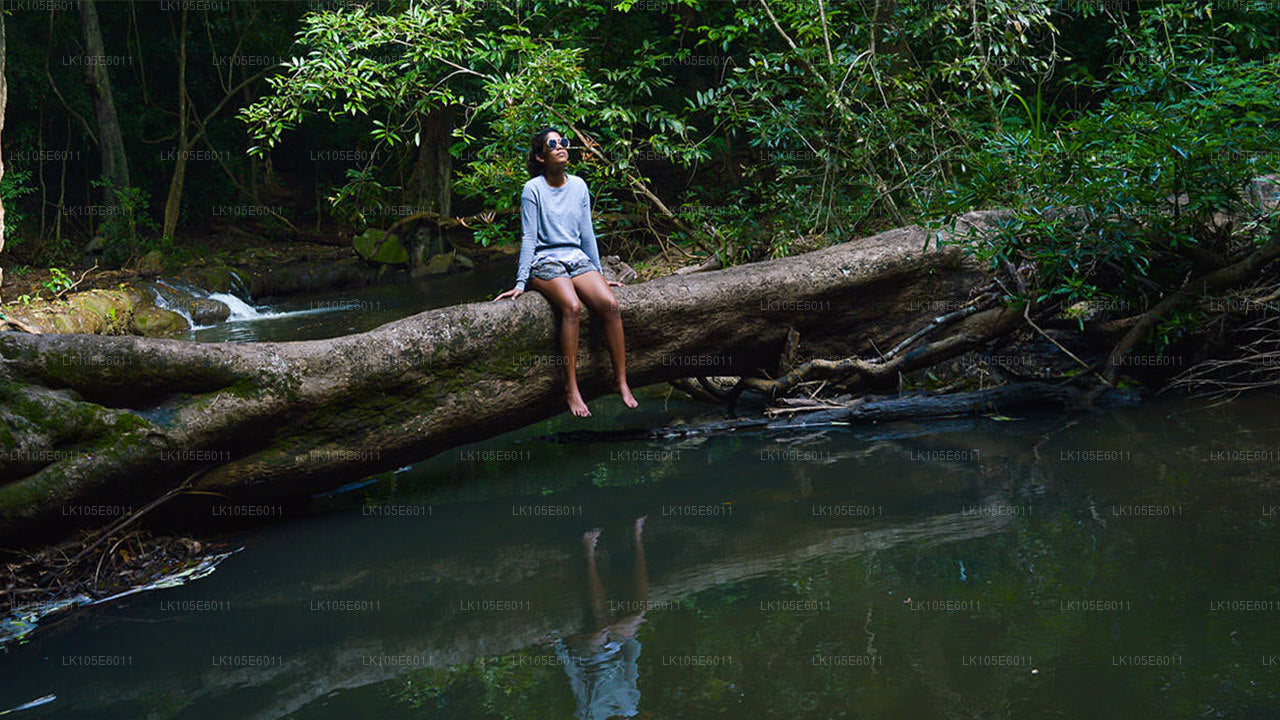 Excursiones ecológicas por Sri Lanka (6 días)