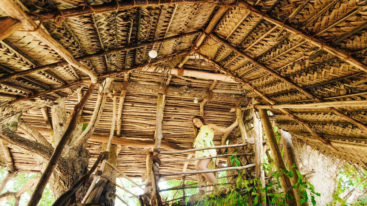 Excursiones ecológicas por Sri Lanka (6 días)