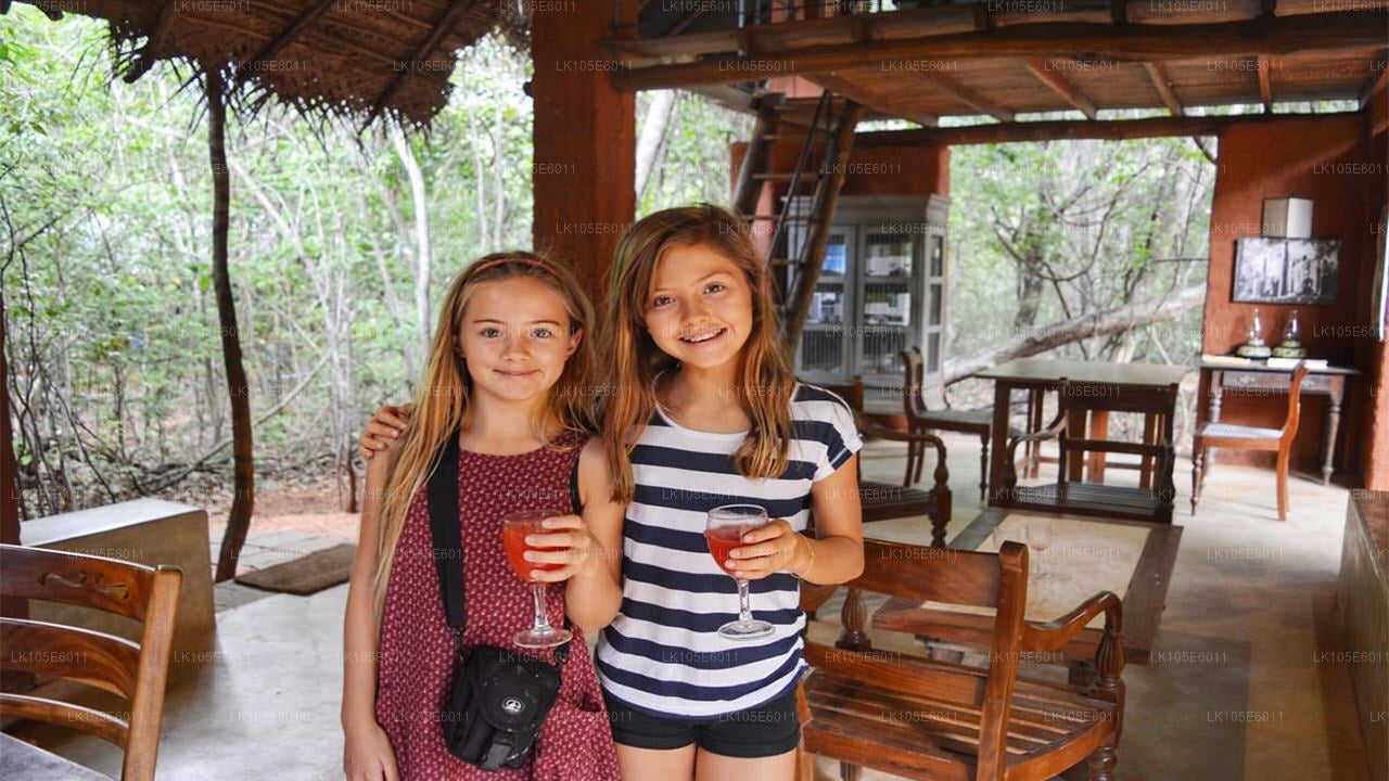 Excursiones ecológicas por Sri Lanka (6 días)