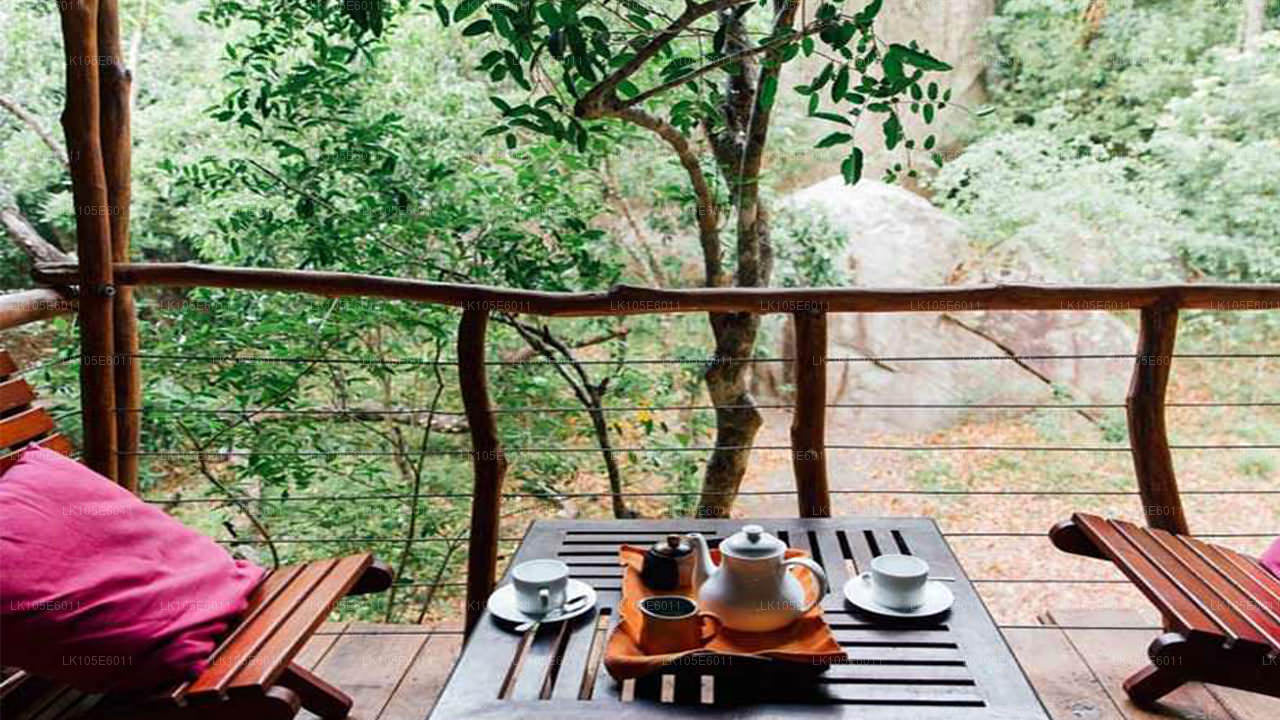 Excursiones ecológicas por Sri Lanka (6 días)