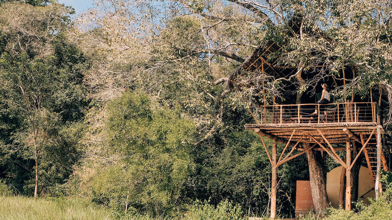 Excursiones ecológicas por Sri Lanka (6 días)